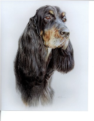 shea.portrait-000005